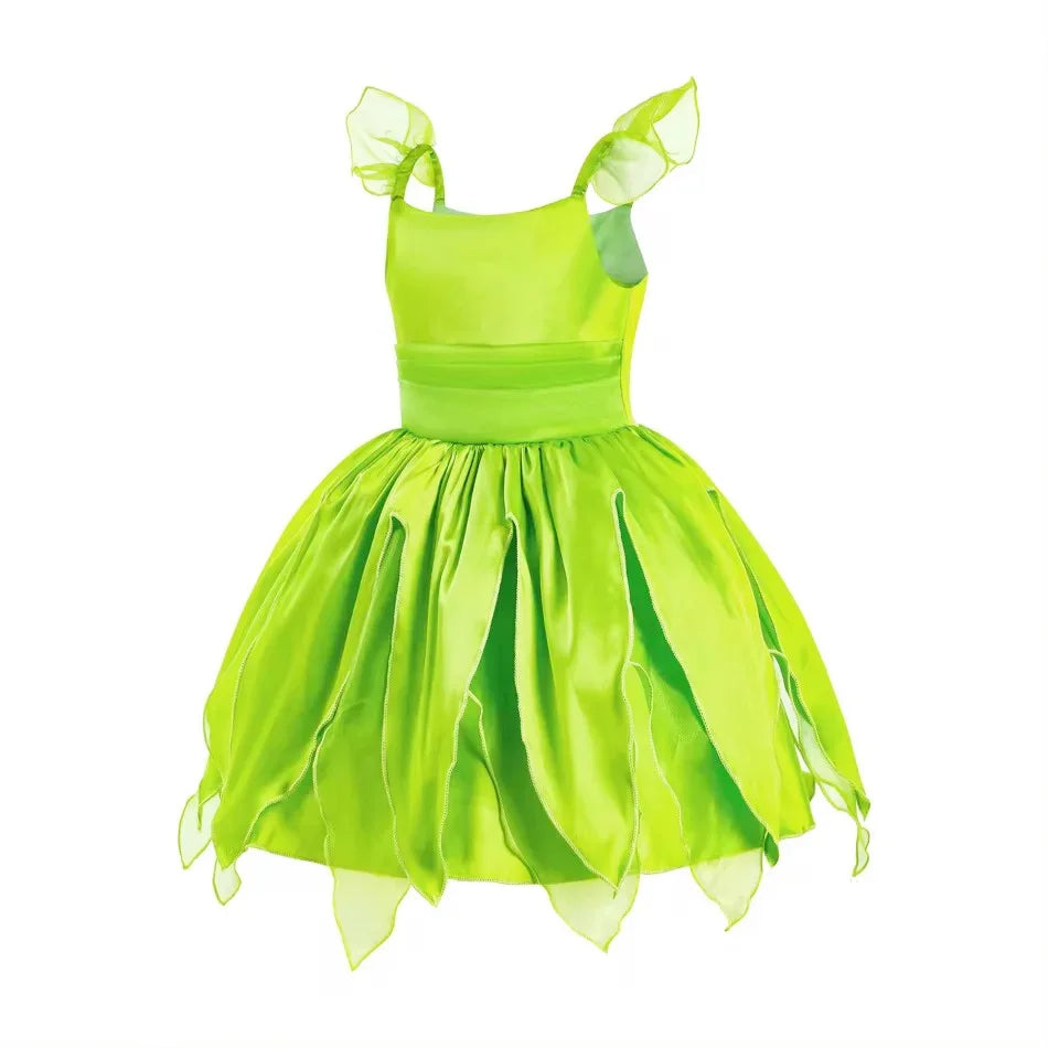 Disney Princess Costume Birthday Party Dress Kids